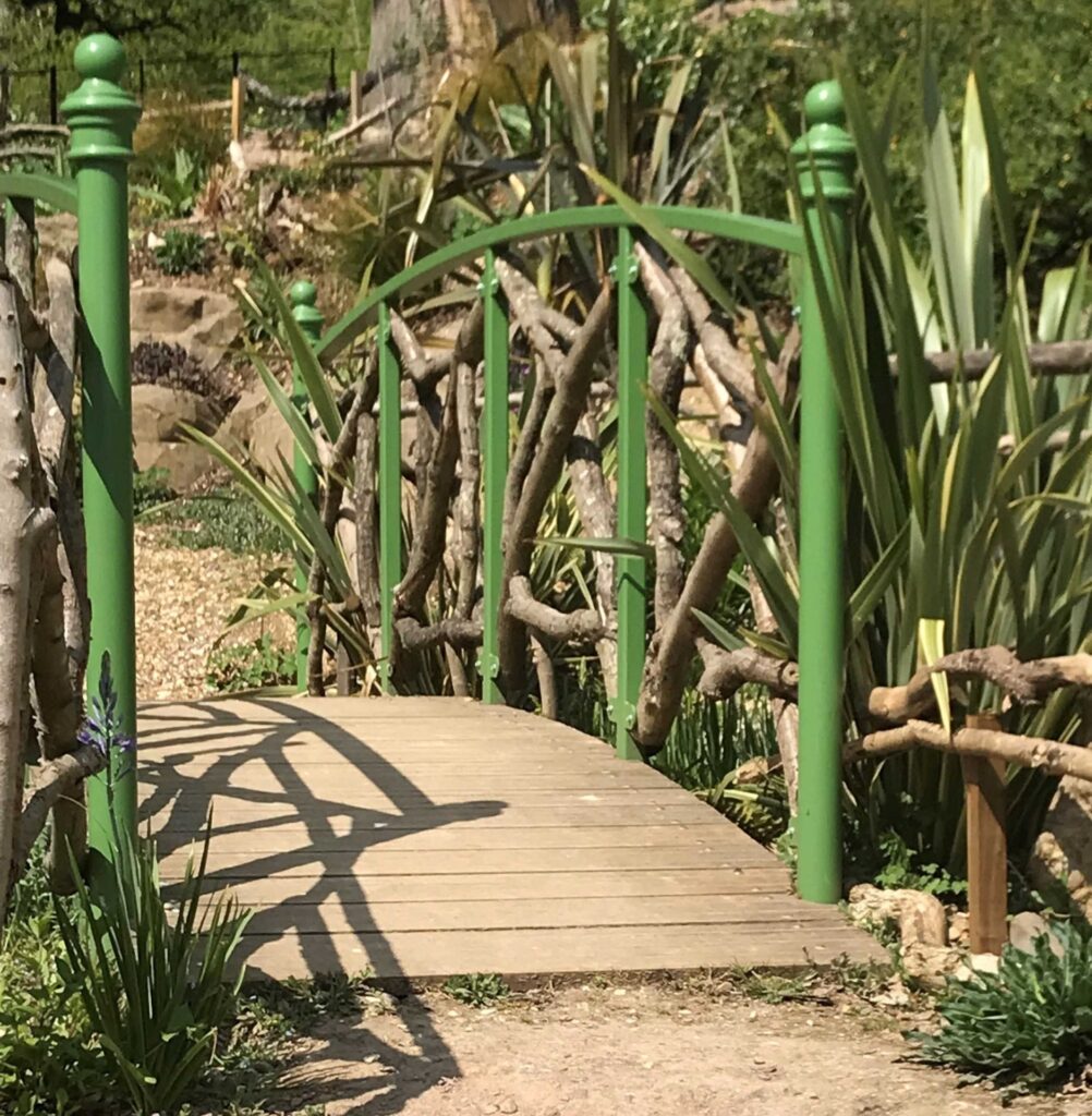 Wheathampstead u3a Strollers Group visit to Danesbury Fernery