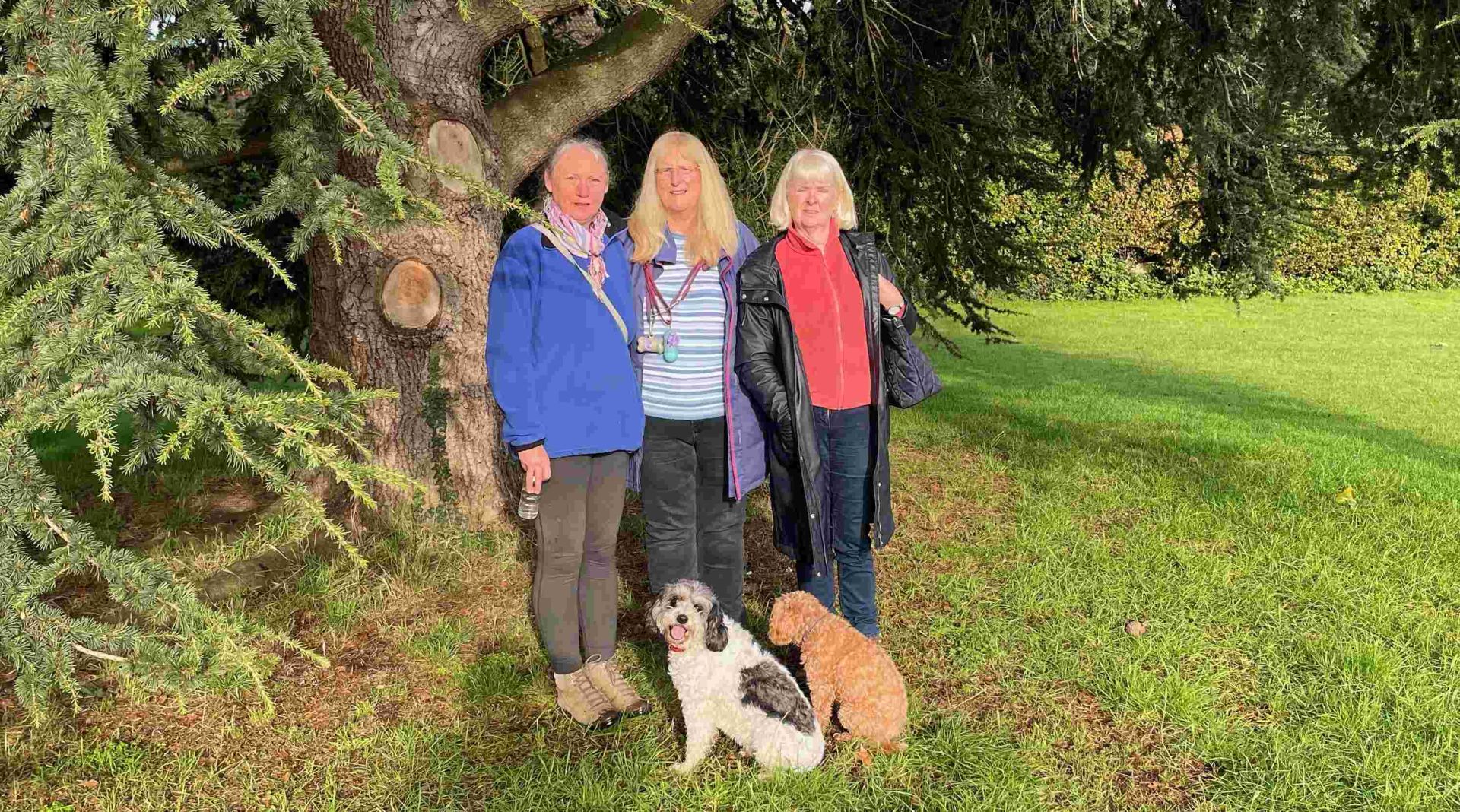 Wheathampstead u3a Walkies Group